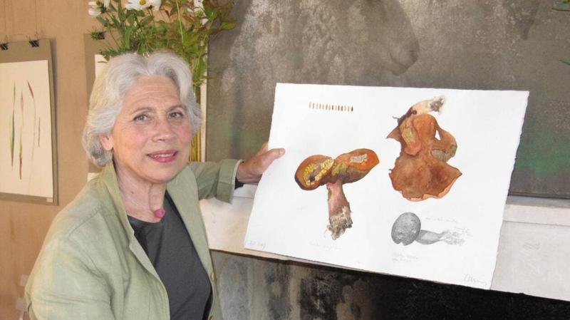 Stage de peinture botanique