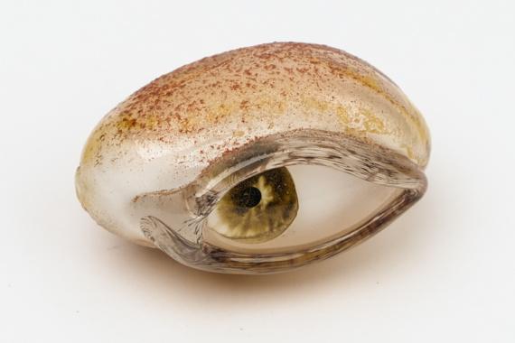 À travers et au-delà de la matière