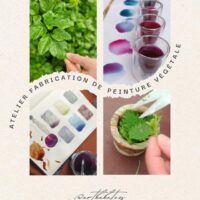Atelier de peinture végétale