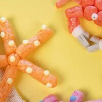 Espace Richaud – Visite-atelier : Bateaux et animaux marins