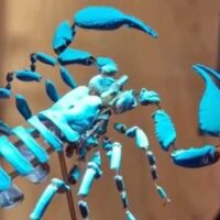 Exposition "Atelier... en appARTement"