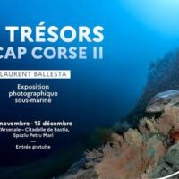 Exposition "Les Trésors du Cap Corse II" par Laurent Ballesta - L'Arsenale - Bastia