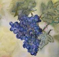 Exposition "Voyage en aquarelles"