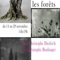 La nuit, les forêts… : Jean Christophe Diedrich, Christophe Boulanger