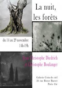 La nuit, les forêts… : Jean Christophe Diedrich, Christophe Boulanger