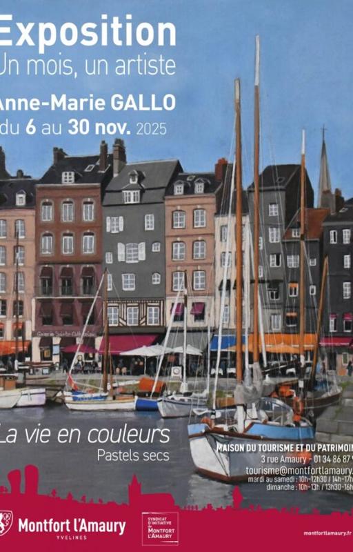 La vie en couleurs – Anne-Marie Gallo