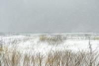 Le bruit de la neige : Catherine Henriette