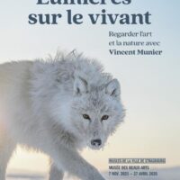 Lumières sur le vivant. Regarder l’art et la nature avec Vincent Munier