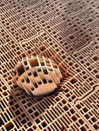 Structures et décadences : Vincent Mauger