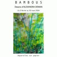 Bambous : Alexandra Deman
