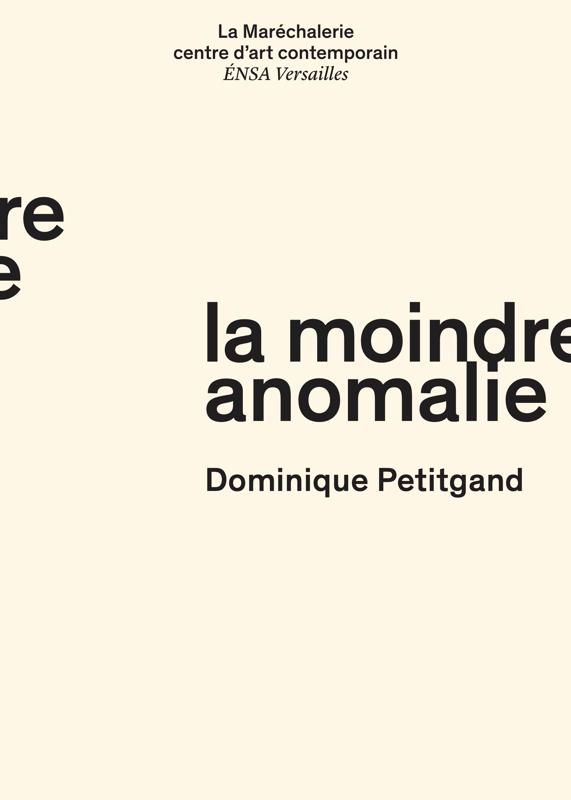 Dominique Petitgand - La moindre anomali