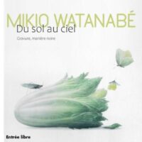 Du sol au ciel , Les estampes de Mikio Watanabe