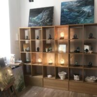 Exposition : Elizabeth Imbert