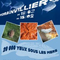 20.000 Yeux sous la Mer