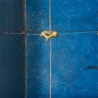 Agata Ingarden : Au grand jour / In broad Moonlight