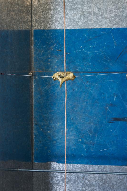 Agata Ingarden : Au grand jour / In broad Moonlight