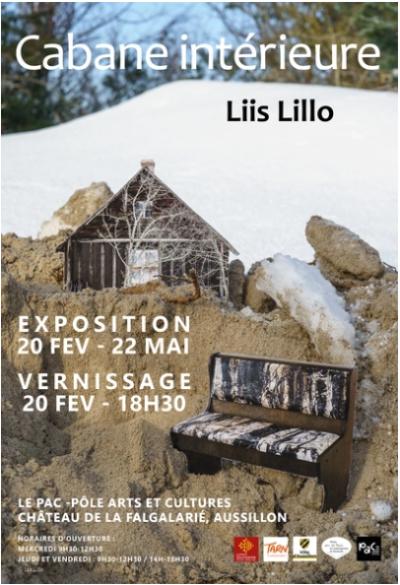 Exposition : Cabane intérieure de Liis Lillo