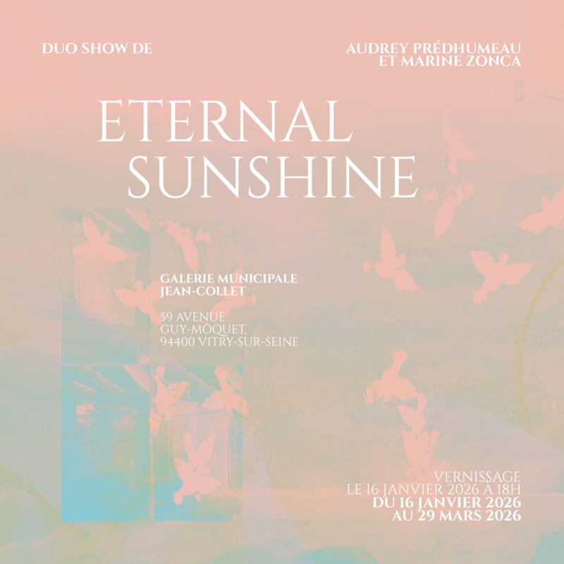 Exposition Eternal Sunshine