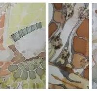 Exposition Karine le Meur