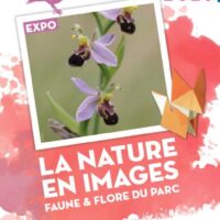 Exposition : La Nature en images, faune & flore du parc