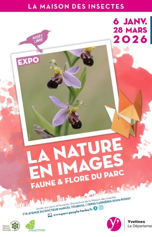 Exposition : La Nature en images, faune & flore du parc
