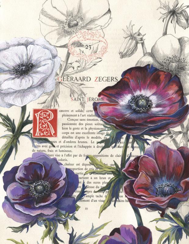 Exposition de peinture naturaliste Pierre-Yves Bonnot