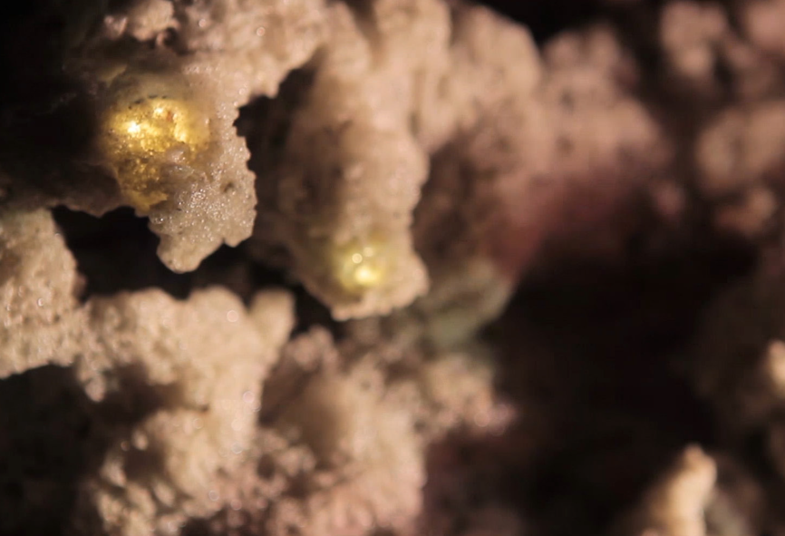 Immagine 2026-01-23 125351