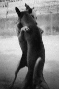 Sous terre : Antoine Lecharny