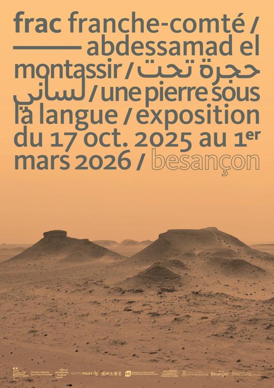 Visite de l'exposition en compagnie de l'artiste Abdessamad El Montassir