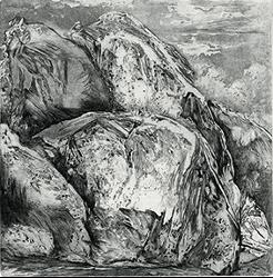 Anne Helsly, Bertrand Bataille, Irina Shark