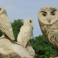 Apprendre la sculpture sur bois