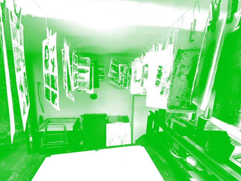 De la lithographie au livre