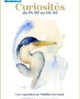 Exposition Cabane des Arts : Curiosités