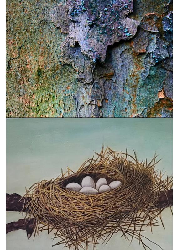 Exposition - Écorces et compagnie