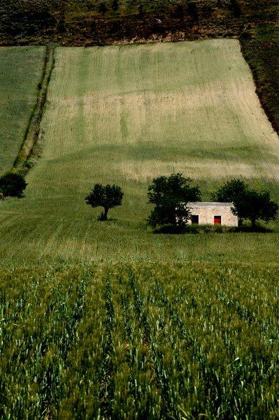 Exposition : Incontro italiano, photo de Dominique Laugé