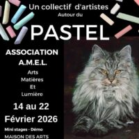 Exposition Salon du Pastel