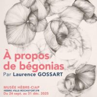 Exposition : à propos de Bégonias