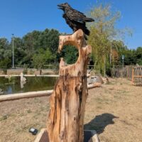 Exposition monumentale Sylvain Dautremay : « Je rêve juste de liberté »