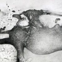 Galerie l’Ecu de France – Exposition: Noir & blanc