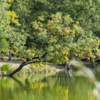 Galerie l’Ecu de France – Les mondes imaginaires