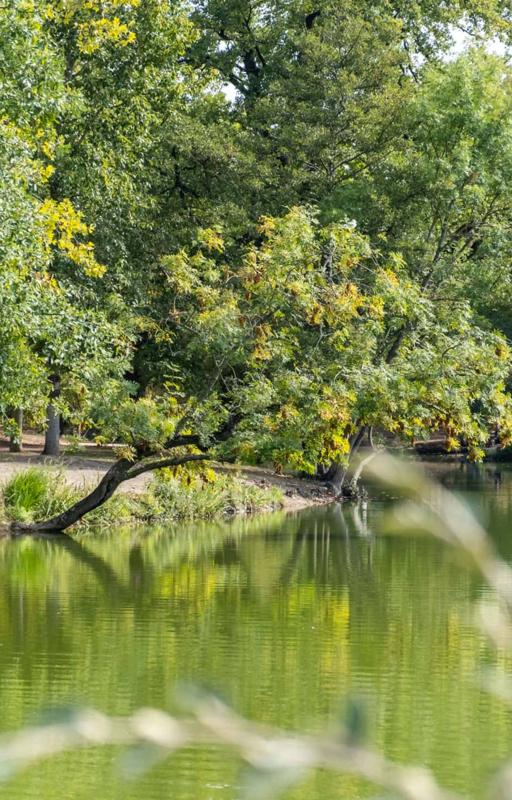 Galerie l’Ecu de France – Les mondes imaginaires
