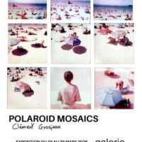 Polaroid Mosaics : Clément Grosjean