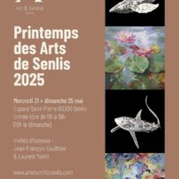 Printemps des Arts de Senlis