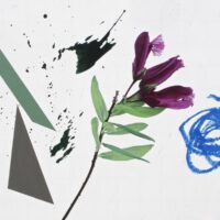 Small is Big : Bruno Suter