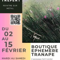 Virginie Trefert peinture sur métal