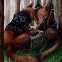 Après la Pluie : Ericailcane