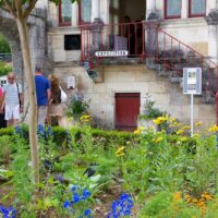 Exposition : Beluche