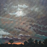 Exposition Dynamiques du paysage de Stéphanie Manchon