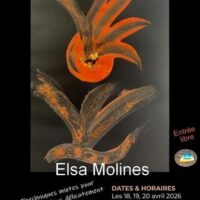 Exposition d'Elsa Molines