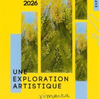 Exposition de peintures : Une Exploration Artistique de Chimaira